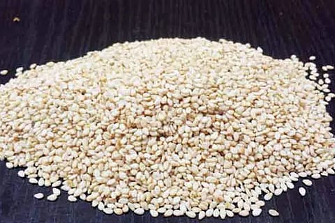 Sesame