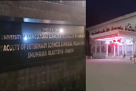 Sher E Kashmir