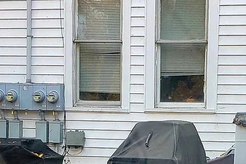 Spot the dog