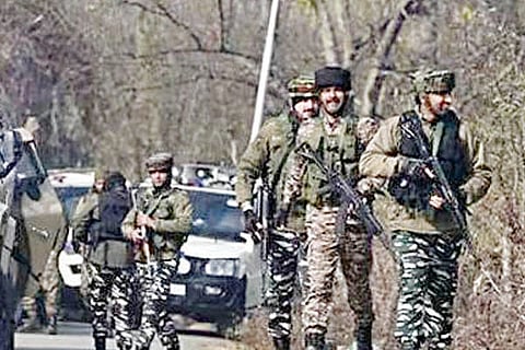 Terrorist
