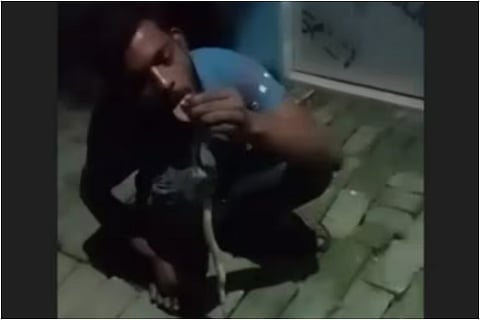 Uttar Pradesh man gets bitten while filming video with snake