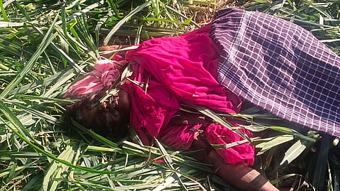 Women death elephant attack mandya