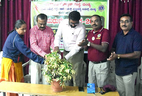 World Diabetes Day mandya