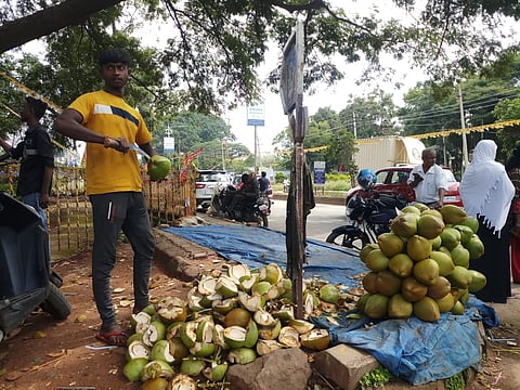 ಎಳನೀರು ದುಬಾರಿ