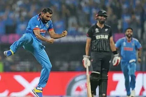 cricket (1)