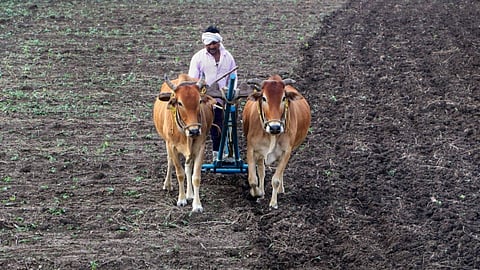 cropinsurance1-1687758372