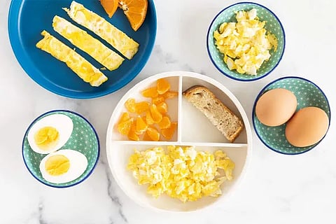 egg (1)
