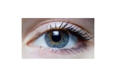 eye camp