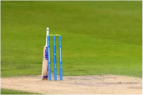 fake cricket web