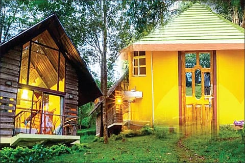 homestay