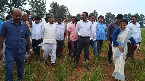 Drought check
