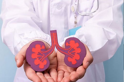 kidney final