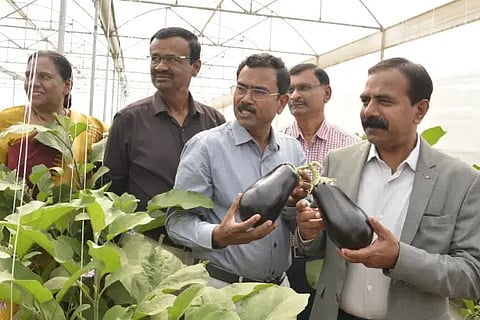 krishi mela