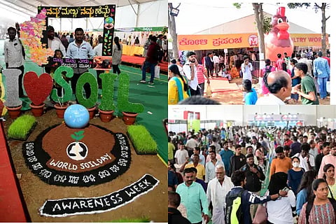 krushi mela