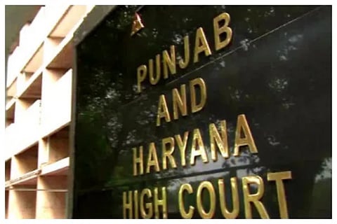 panjab hicourt