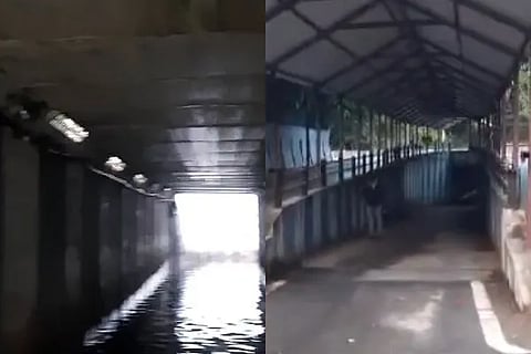 rain