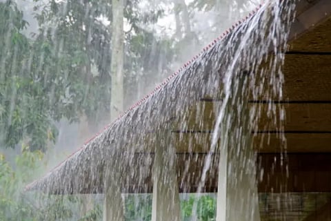 rain fall