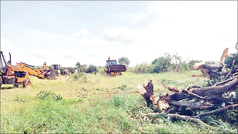 shreenivaspur-forest-land