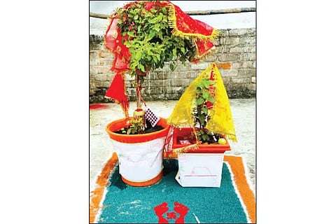 tulsi festival