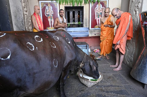 udp-13-krishna mutt