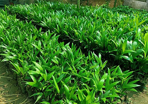 ಚಿತ್ರ 16ಎಸ್ ಡಿ ಪಿ 4