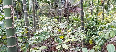 02HDK01 (1)