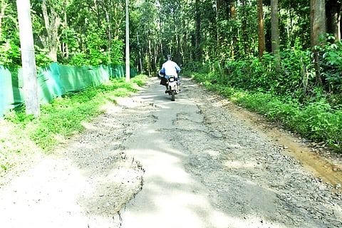 02sunti01