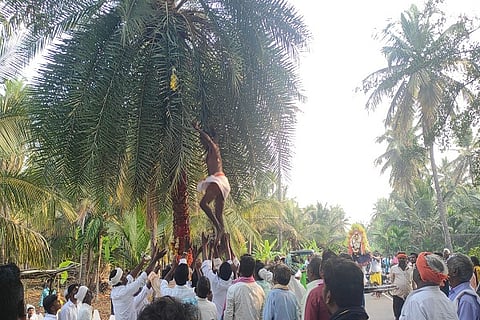 13HULIYAR3