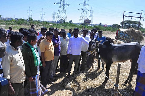 ದನಗಳ ಜಾತ್ರೆಯ ವೈಭನ ಮರಳಿಸಲಾಗುವುದು:ಶಾಸಕ ಸ್ವರೂಪ್