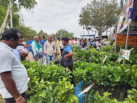 Agricultural Fair at V.C Farm mandya