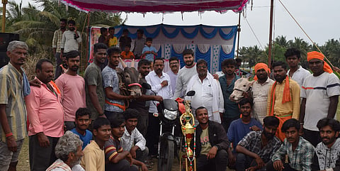 Bullock cart race Mandya