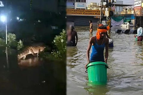 Chennai Flood