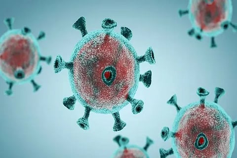 Covid