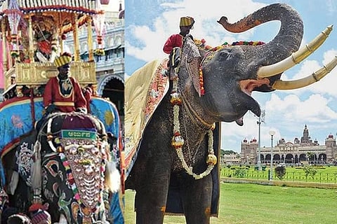 Dasara Elephant Arjuna