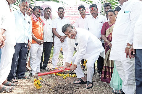 Emphasis on plantation and greening