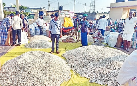 GARLIC PRICE HIKE