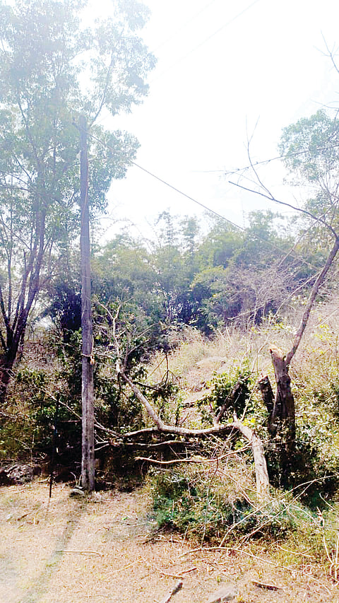 IMG-20231215-WA0056