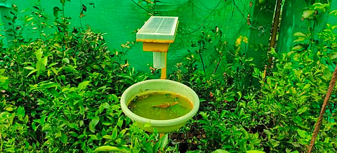 IMG_20231202_124123