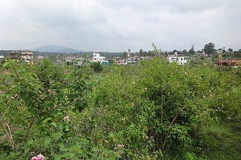 Land conversion has gone without a hitch