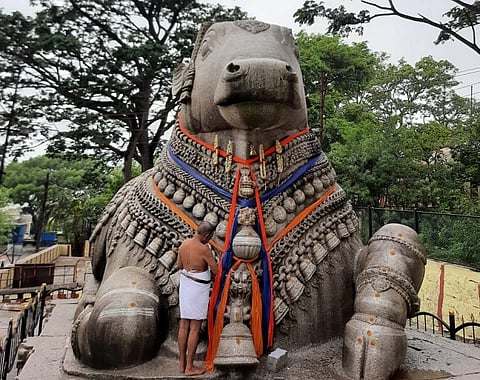 Nandi