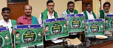mysore