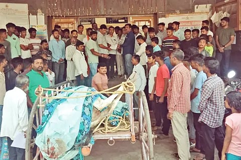 Protest with a dead cow