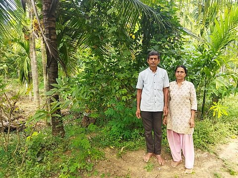 Sahaja Krushi 2