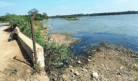Savanur Doddakere