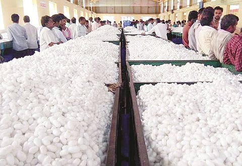 mysore