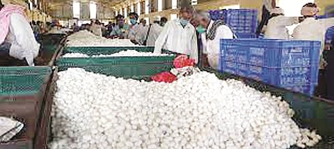 Silk-cocoon-market2