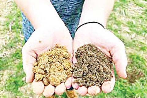 Soil