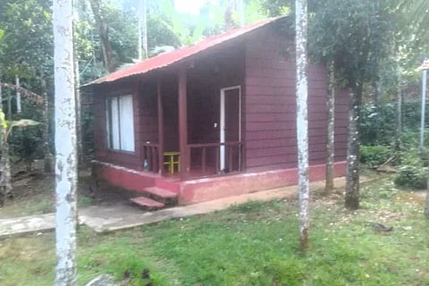Suicide Home Stay