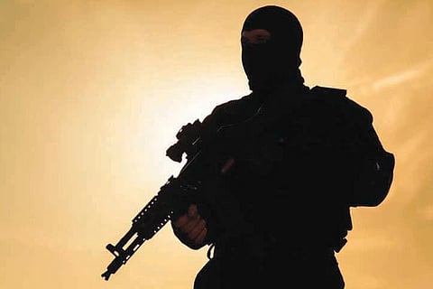 Terrorist