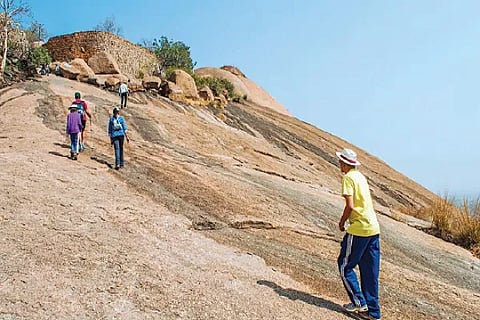Trekking
